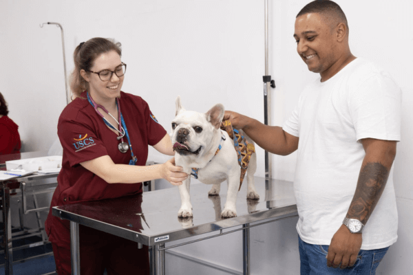 Hospital Veterinário Universitário Municipal realiza quase 15 mil atendimentos em 2024